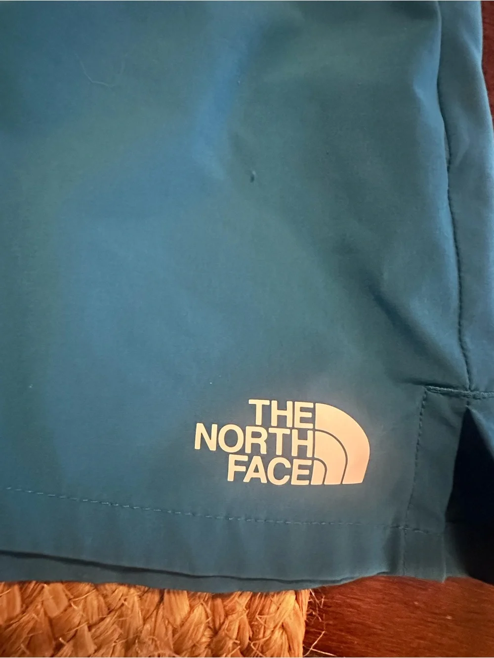 The North Face Men's Teal Blue Athletic Shorts